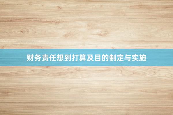 财务责任想到打算及目的制定与实施